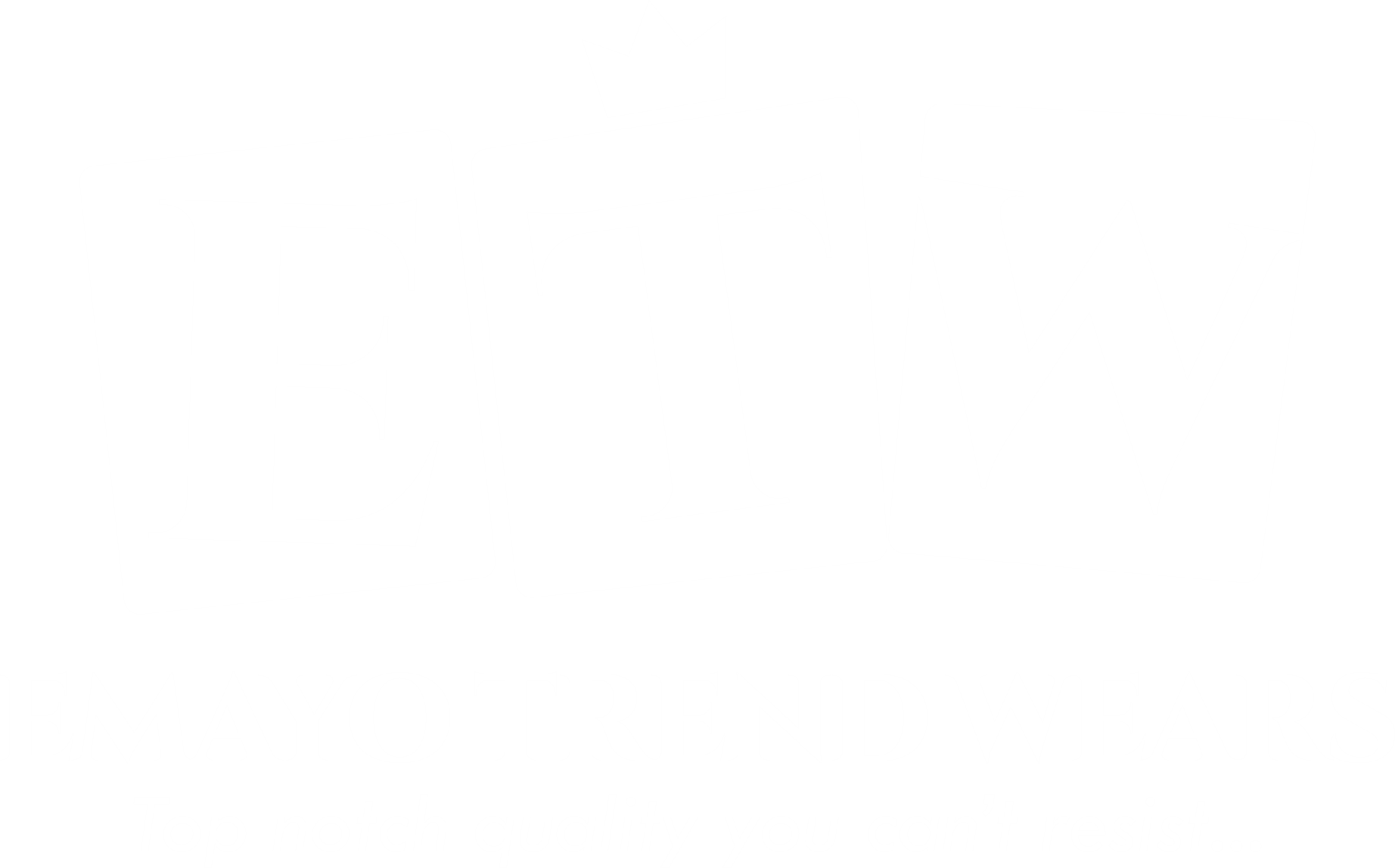 Emmanuel Ayokanmi Aaron | Portfolio